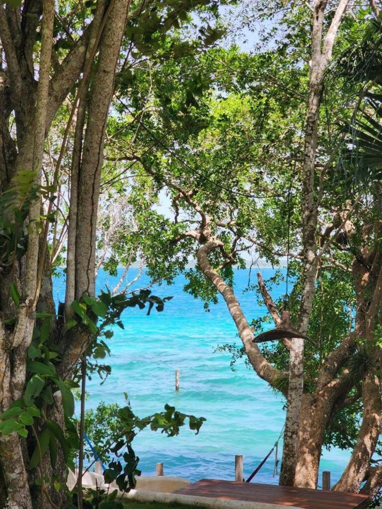 Waterfront Design Eco-villa & Great Wifi * Bacalar