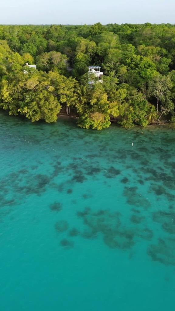 Waterfront Design Eco-villa & Great Wifi