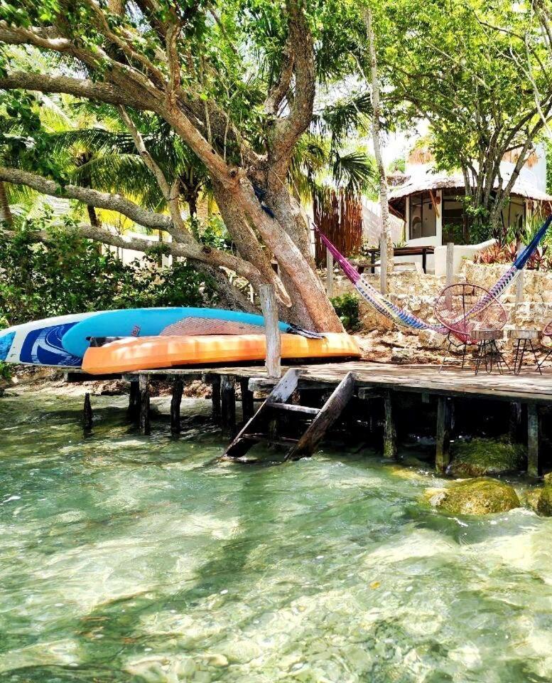 Waterfront Design Eco-villa & Great Wifi *